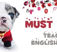 Teacup English Bulldog
