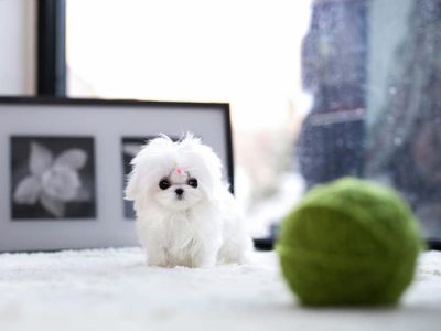 Ghosted Ice White Micro Maltese